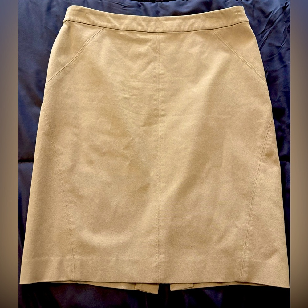 Ann Taylor Pencil Skirt